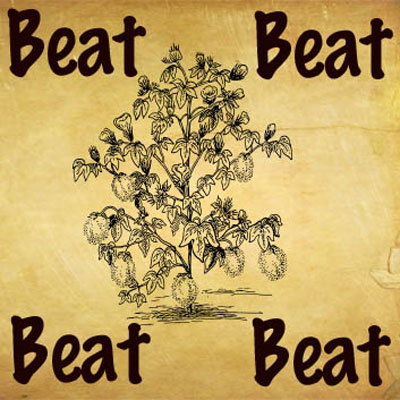 beat-around-the-bush.jpg